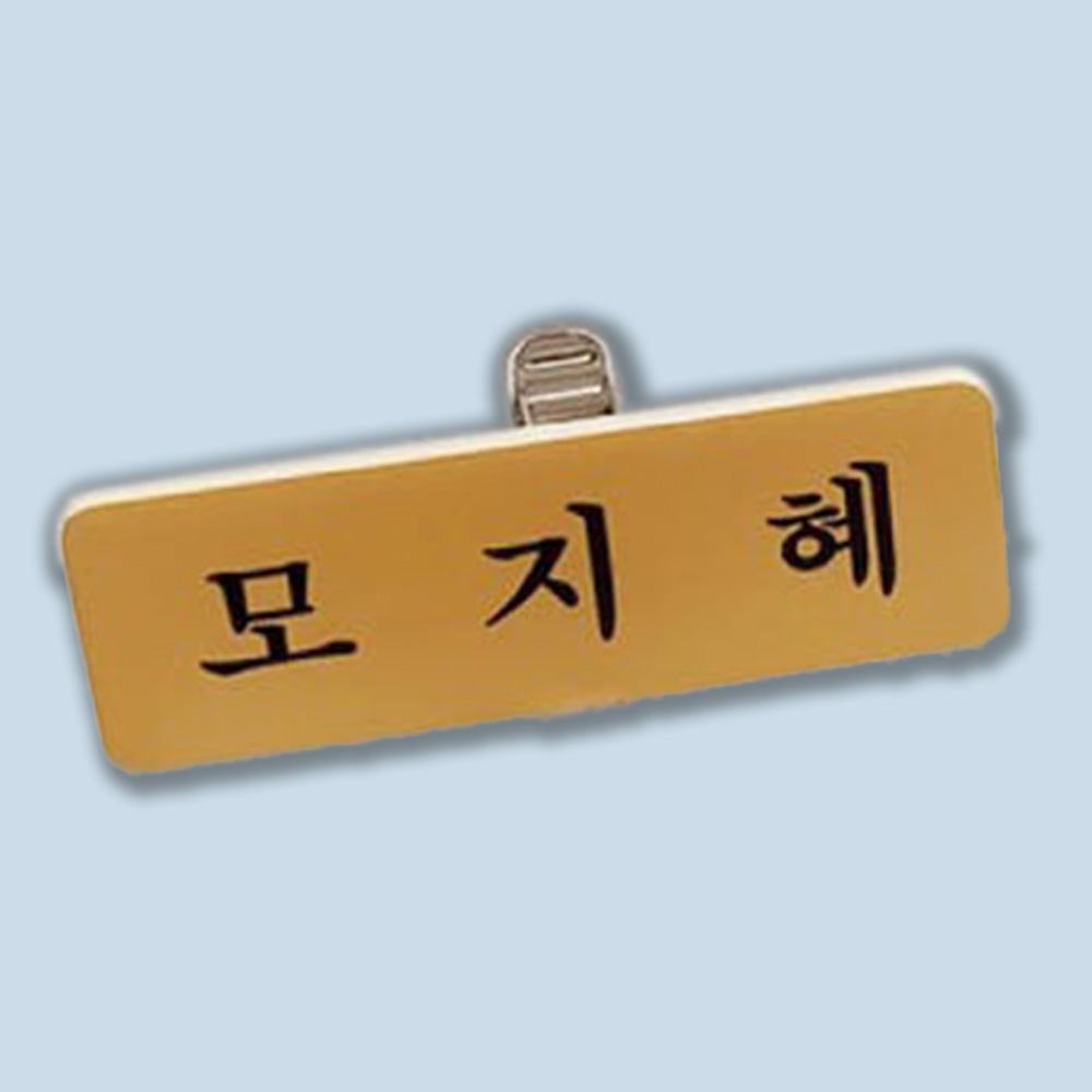 맞춤형 이름표와 창의적인 크리스마스 테마 핀—휴일 파티 - Embroidery Name 리뷰 및 가격