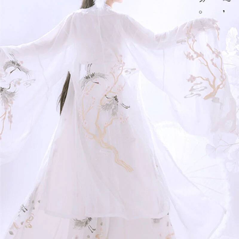 중국 고대 Hanfu 여성 중공업 자수 더블 브레스트  - Embroidery Skirt 리뷰 및 가격