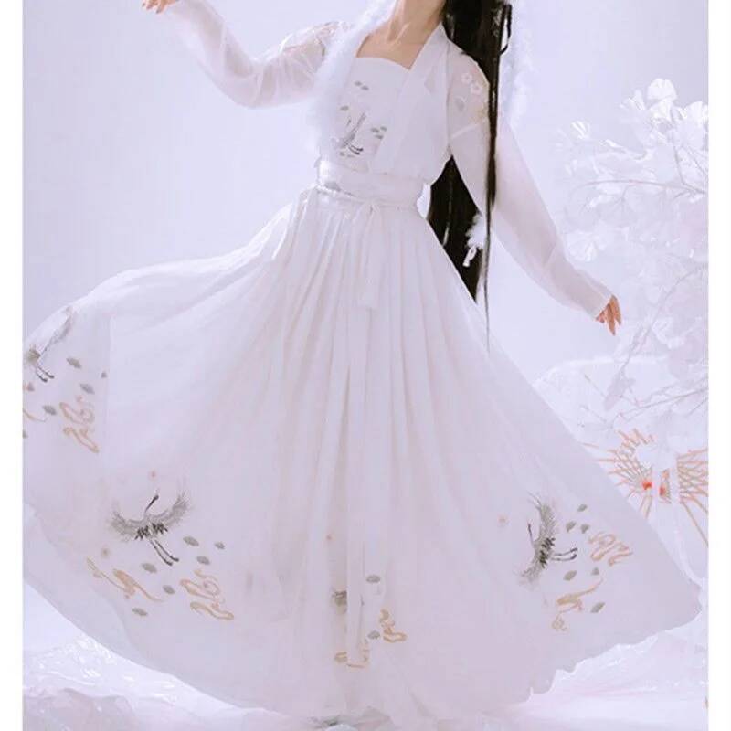 중국 고대 Hanfu 여성 중공업 자수 더블 브레스트  - Embroidery Skirt 리뷰 및 가격